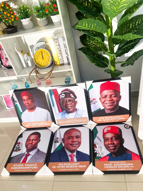 Official Portrait of Mr. President Tinubu - Image 4